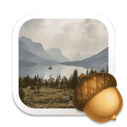 Acorn 7