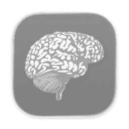 BioImage (Clear Light) (macOS 26.2+)