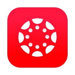 Canvas Icon