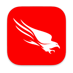 Crowd Strike Falcon