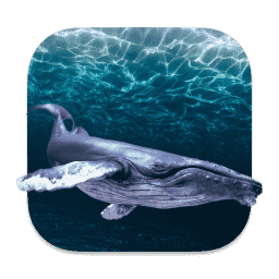 Docker macOS icon