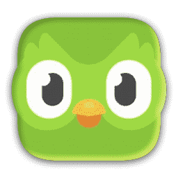 Duolingo macOS icon
