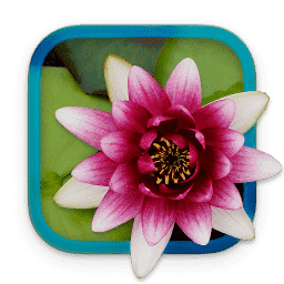 LilyView