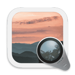 Lyn macOS icon