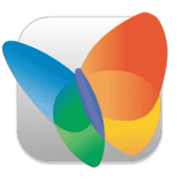 MSN