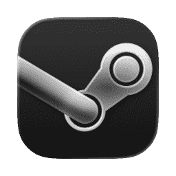 Steam
