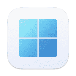 Windows 11