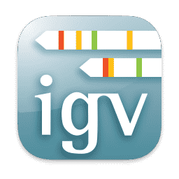 igv