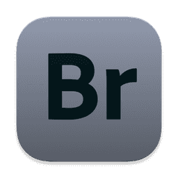Adobe Bridge 2021