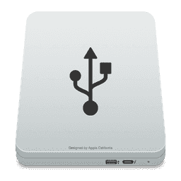 Drives 2021 Silber usb icon for macOS