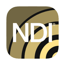 NDI Virtual Input