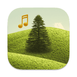 Pine Player
