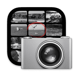 macOS Image Capture macOS icon
